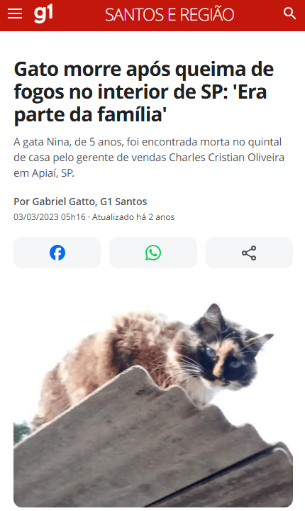 Manchete de notícia: Veterinários alertam: pânico de fogos pode causar convulsões em pets saudáveis.