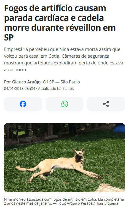 Manchete de notícia: Pet morre de parada cardíaca após queima de fogos no Réveillon.