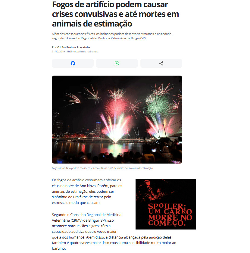 Manchete: Veterinários alertam: pânico de fogos pode causar convulsões em cães saudáveis.